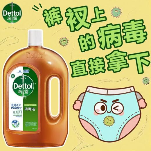 【119.9元2瓶*1.2L】滴露消毒液1.2L衣物家居消毒家用经典消毒杀菌 商品图5