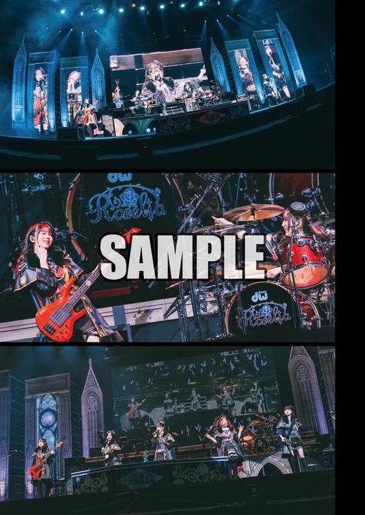 BanG Dream! Roselia LIVE TOUR 「Rosenchor」 OFFICIAL PHOTOBOOK 商品图2
