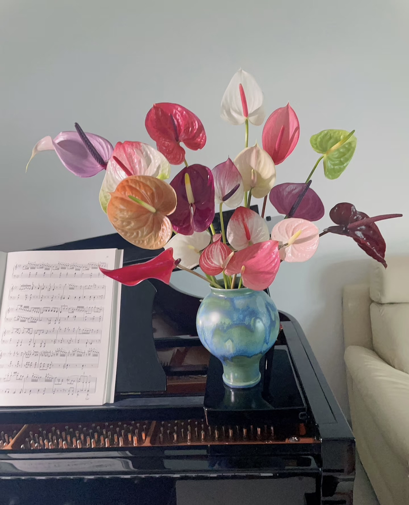 【不妨试一试】彩掌 随机色  单枝 （受伤者，宜喷色使用）