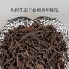 双陈普洱80年代易武生散50克陈化40年老生茶口感顺滑细腻香气丰富 商品缩略图1