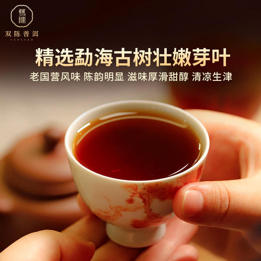 双陈普洱90年代易武熟茶50克甘甜绵柔浑厚饱满物质丰富 商品图2