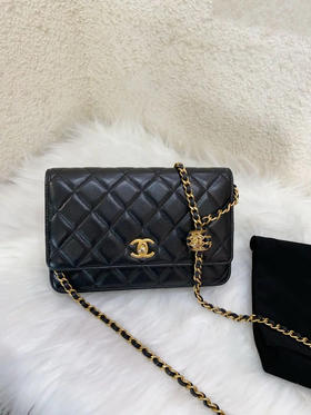 Chanel 22s 黑金 核桃金球 Woc 斜挎包