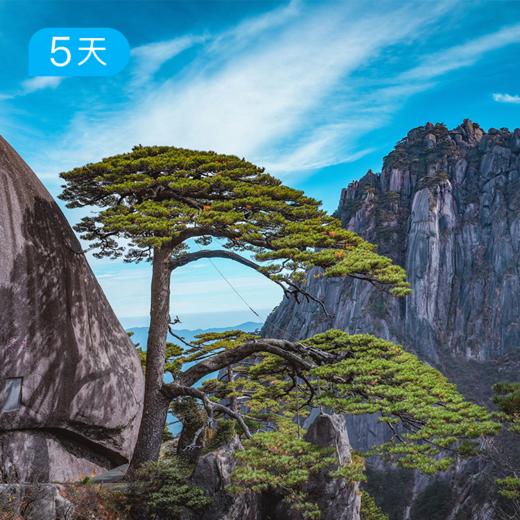 春季黄山徒步大会｜36公里入门级徒步 赏高山杜鹃 5日 商品图8