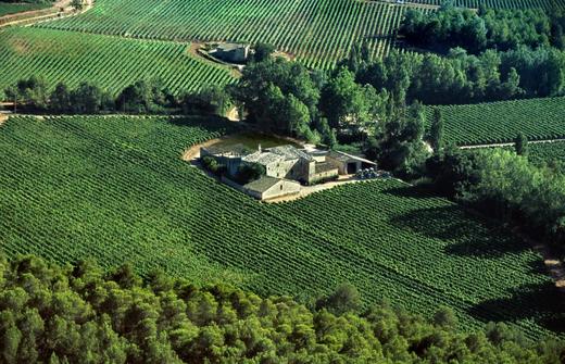 桃乐丝菲兰索白葡萄酒 Torres-Fransola 商品图1