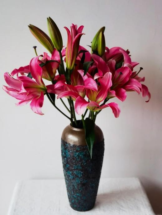 年宵花卉多头百合普拉芬多鲜切花5支 商品图3