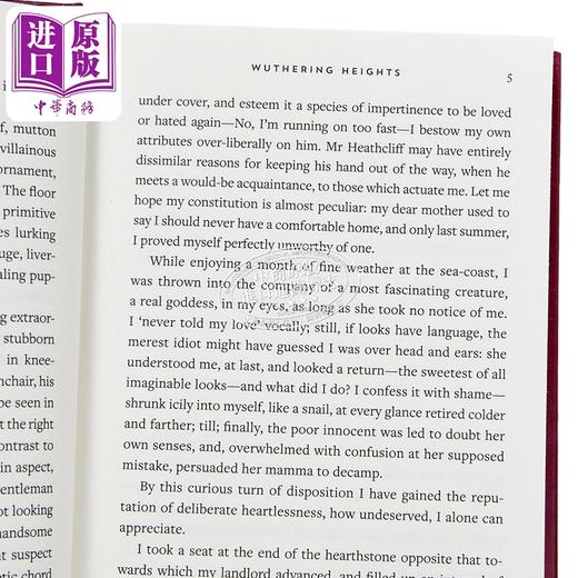 【中商原版】呼啸山庄 英文原版 Wuthering Heights Emily Bront illustrated by Anna Bond 经典文学 商品图13