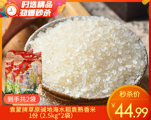 【预售-2月24日配送】【到手2袋】袁蒙牌草原碱地海水稻袁熟香米/1份（2.5kg*2袋） 商品图0