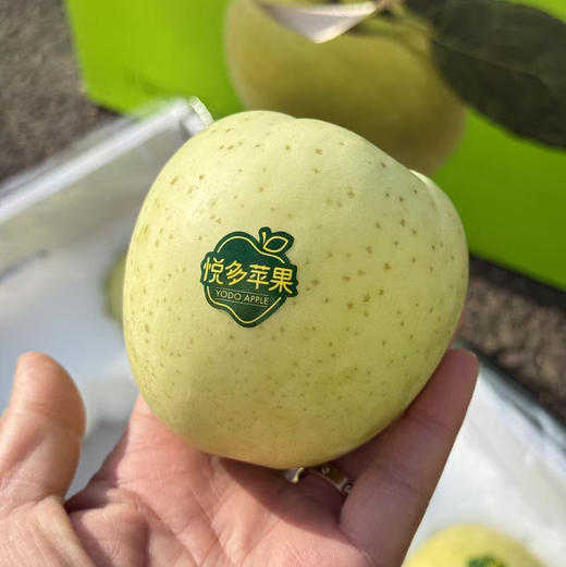 新疆王林苹果 商品图0