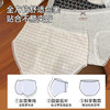 女士全棉印花舒适内裤（bear） 商品缩略图4