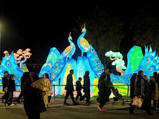 🏮【2026成都世博园新春灯会】
🌈新春光影嘉年华正式开幕
🪔3大主题灯组+光影秀
😎非遗潮趣双 buff 商品图11