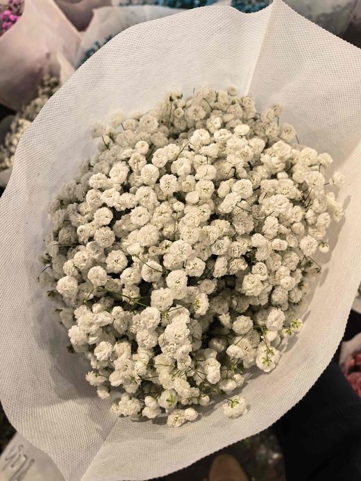 满天星白色1KG 商品图0