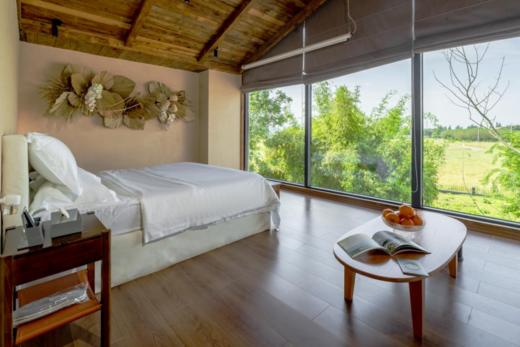 【觅趣625号院·眉山青神】5房包院，swrl 商品图5