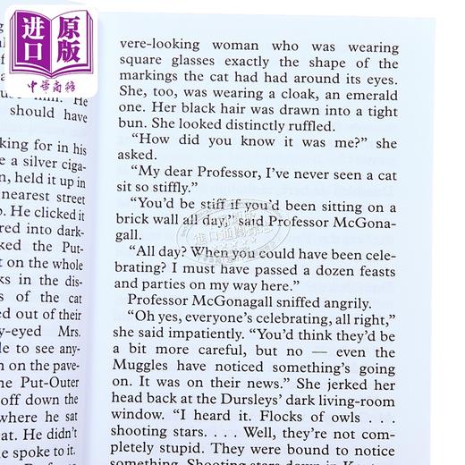 预售 【中商原版】哈利波特与魔法石 1 大字版 Large Print Harry Potter and the Sorcerer's Stone 英文原版 J K Rowling 罗琳 商品图2