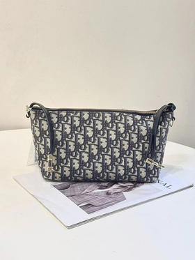 Dior Travel Nomad 饭盒 手提包