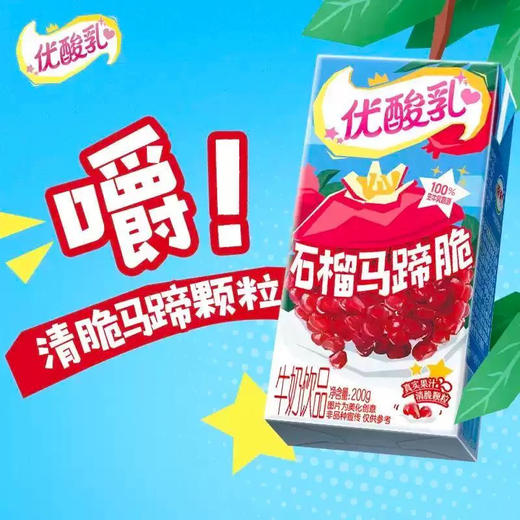 优酸乳石榴马蹄脆酸奶牛奶饮品 商品图0