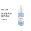 【宁波】WELEDA维蕾德 轻松卸妆不紧绷 植物洁面摩丝 150ml 商品缩略图1