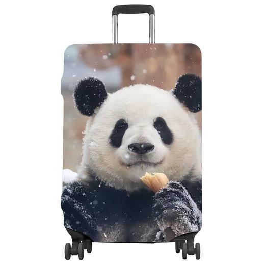 自造旅行时尚箱套（仅限门店自提） 商品图2