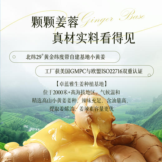 清仓【1件29元】卓蓝雅生姜头皮按摩膏25ml*6（8号果冻装） 商品图4