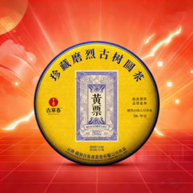 【黄票】2025年云南普洱生茶临沧茶区古树纯料茶叶，357克/饼