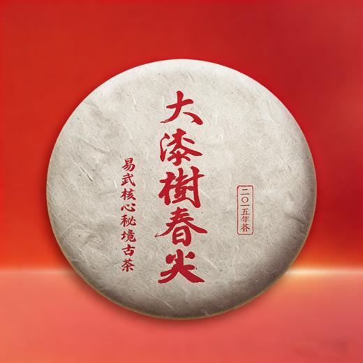 【大漆树春尖】2015年春茶秘境好茶！易武大漆树春尖 藏在麻黑里的回甘王，357克/饼 商品图0