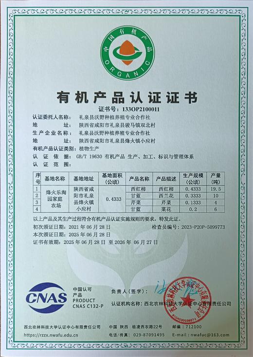 有机西兰花 商品图3