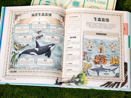 【十点首发】《DK图解万物》DK重磅新作！一本=通识知识宝库+思维升级工具|百余幅精美信息图解，演“活”1000+知识，用图解带孩子“透视”万物、表达思想、解决问题 商品图6