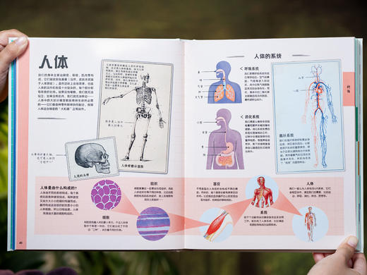 【十点首发】《DK图解万物》DK重磅新作！一本=通识知识宝库+思维升级工具|百余幅精美信息图解，演“活”1000+知识，用图解带孩子“透视”万物、表达思想、解决问题 商品图10