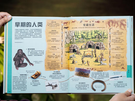 【十点首发】《DK图解万物》DK重磅新作！一本=通识知识宝库+思维升级工具|百余幅精美信息图解，演“活”1000+知识，用图解带孩子“透视”万物、表达思想、解决问题 商品图12