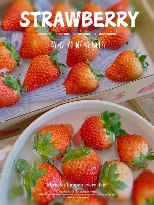 🏮办年货！春节不打烊！ 丹东九九草莓·香甜浓郁 商品图2