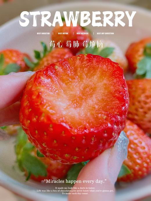 🏮办年货！春节不打烊！ 丹东九九草莓·香甜浓郁 商品图0