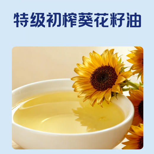 中鲁金枪鱼深海金枪鱼罐头即食海鲜沙拉拌饭鱼块罐头大块鱼肉165g 商品图2