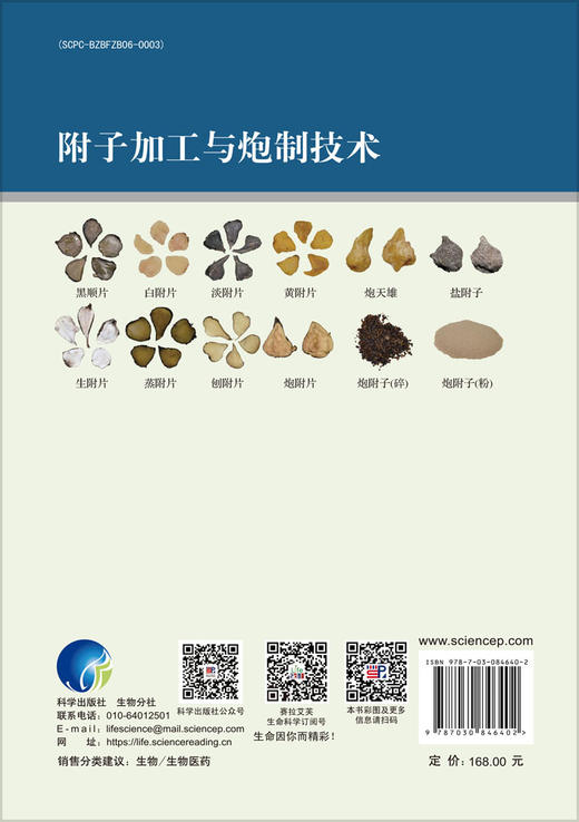 附子加工与炮制技术 商品图1