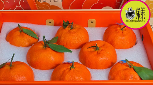 上嘉甘平大橘礼盒（8枚装）春见升级版 商品图2