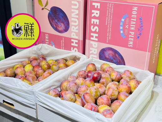 【智利空运】超甜西梅（5斤） 商品图0