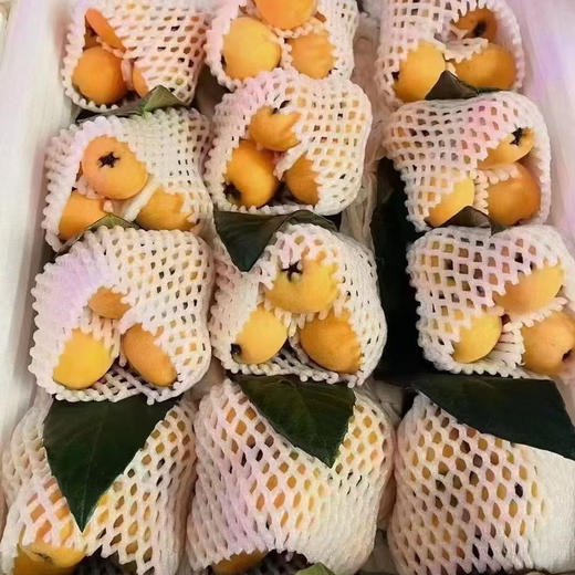 五角星枇杷 1件/12串约5斤  圆润清香 商品图6