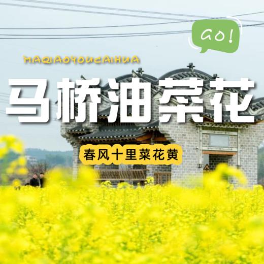 【武汉出发丨咸宁刘家桥+马桥油菜花一日游】古村寻韵 + 花海休闲游 商品图0