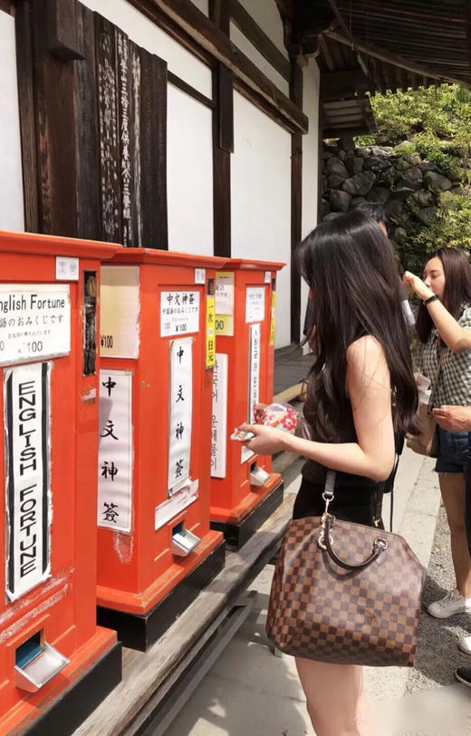 LV sp30 棕棋盘格 手提款 枕头包 商品图3