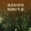 双陈普洱2025年越来越好生茶357克品牌30周年纪念茶蜜兰香澄澈山野韵悠长 商品缩略图1