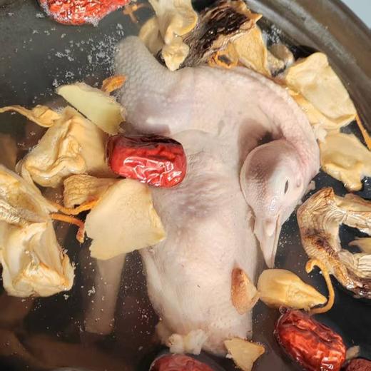 【餐桌盛宴】菌汤营养鸽礼盒（3只菌汤营养鸽） 商品图1