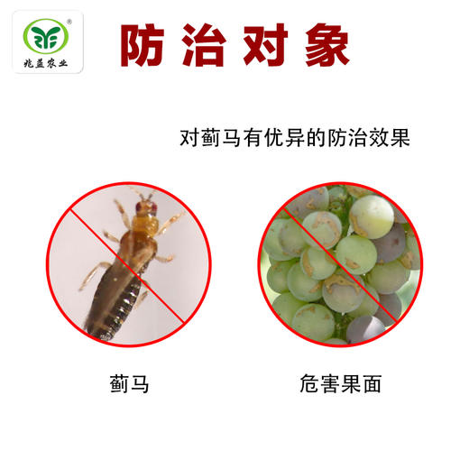 艾绿士—杀灭蓟马  对葡萄上蓟马有良好防治效果 商品图1