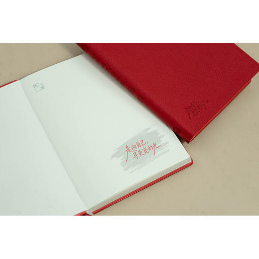 中华人民共和国宪法  宪法宣誓本  变色皮软精装  双色内文 法库手账本  法律出版社法规中心编 法律出版社 商品图7