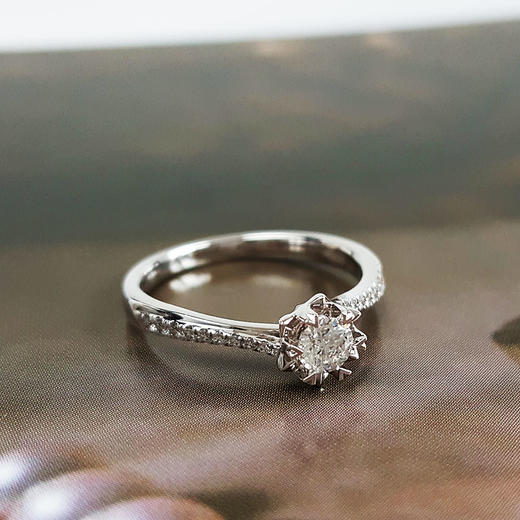 DRAU750白金时尚设计款0.18克拉钻石戒指9号（戒圈可改）030226NJT05 商品图3