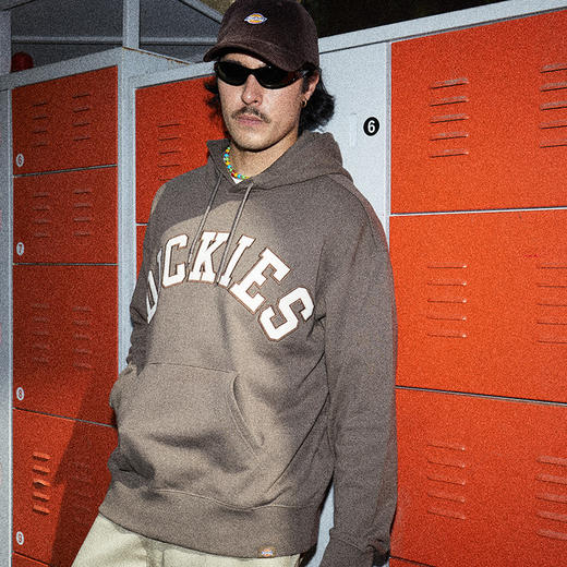 Dickies卫衣 宽松百搭字母贴布绣美式连帽毛圈布卫衣DK013104 商品图0