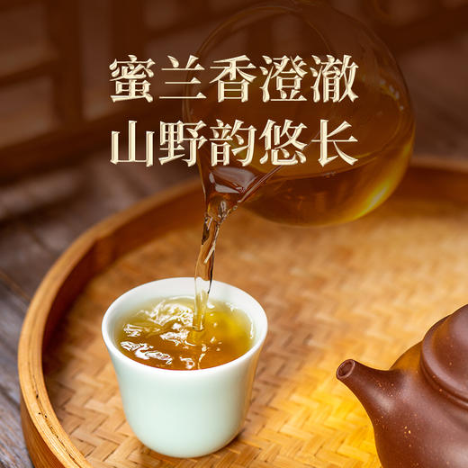 双陈普洱2025年越来越好生茶357克品牌30周年纪念茶蜜兰香澄澈山野韵悠长 商品图2