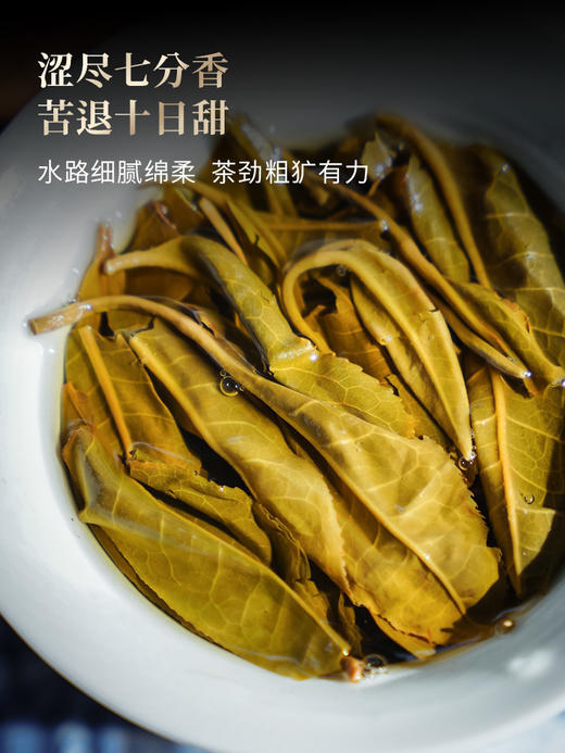 最后十几名！即将涨价【老曼峨苦/甜茶单株】2026年春茶预售苦过之后刻骨铭心的甜 滋味浓度“带十足杀伤力”，357克/饼 商品图5