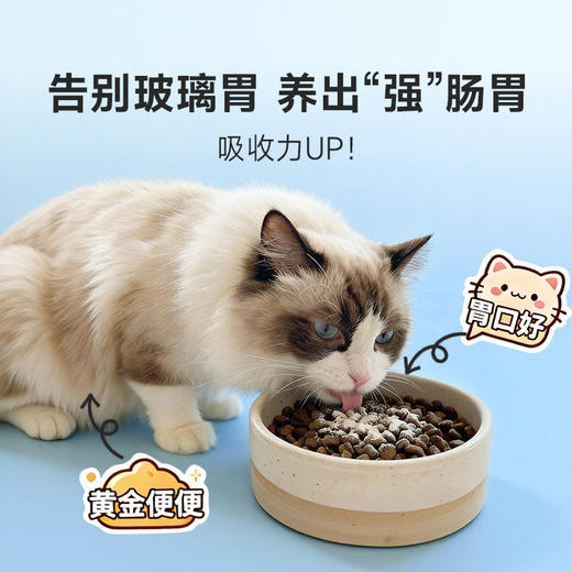 谷登六种菌（猫用）3g*20袋 商品图4