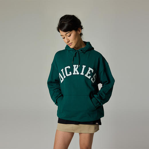 Dickies卫衣 宽松百搭字母贴布绣美式连帽毛圈布卫衣DK013104 商品图2