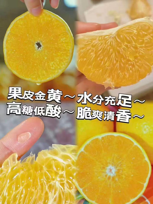 冬季新品，静秋棠-冰糖甜桔柚上市。海拔2000米高山硒土种植，冰糖口感，像吃甜橘子一样爽嫩清火、 商品图11