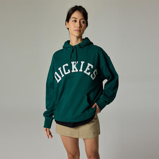 Dickies卫衣 宽松百搭字母贴布绣美式连帽毛圈布卫衣DK013104 商品图3
