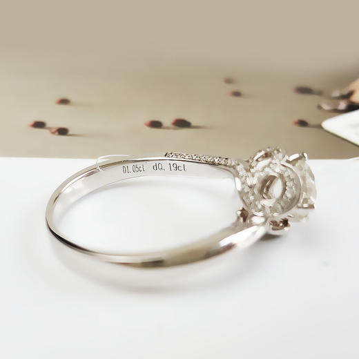 【天然正品】AU750白金简约时尚围镶四爪款1.05克拉钻石戒指15号（戒圈可改）090226NJS20 商品图8